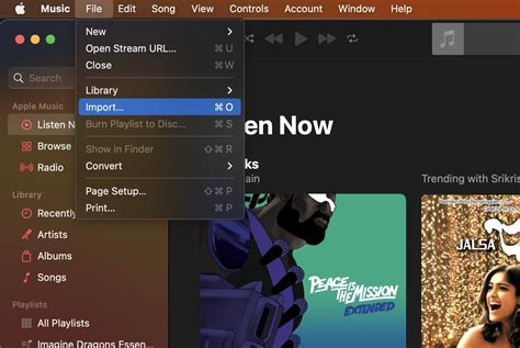 how to import music to apple music and why do we need a backup of our favorite songs?