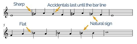 what are accidentals in music and why do we need them to spice up our compositions?